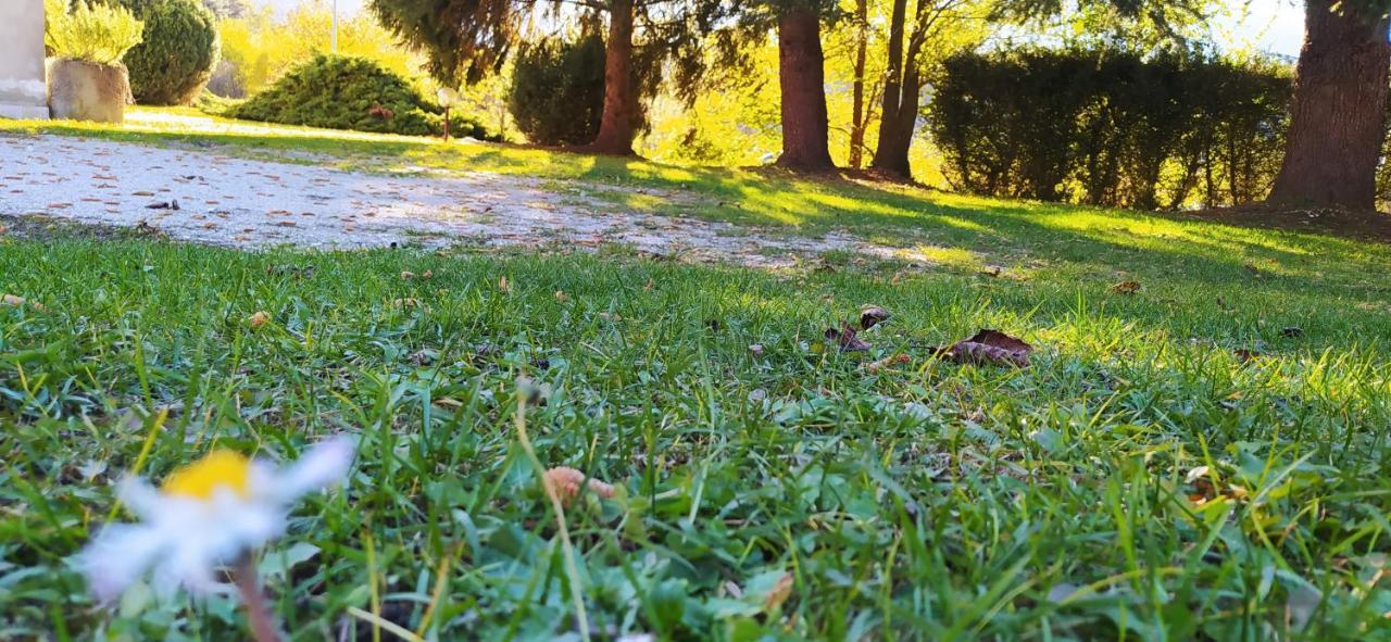 Green House Next - Lovely Apartment For Family And Free Parking Levico Terme Eksteriør bilde