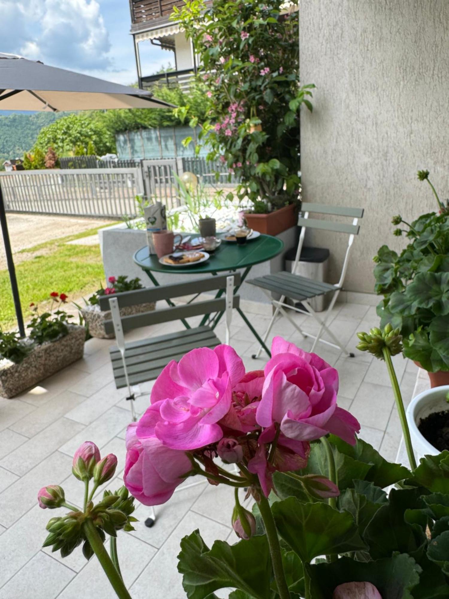 Green House Next - Lovely Apartment For Family And Free Parking Levico Terme Eksteriør bilde