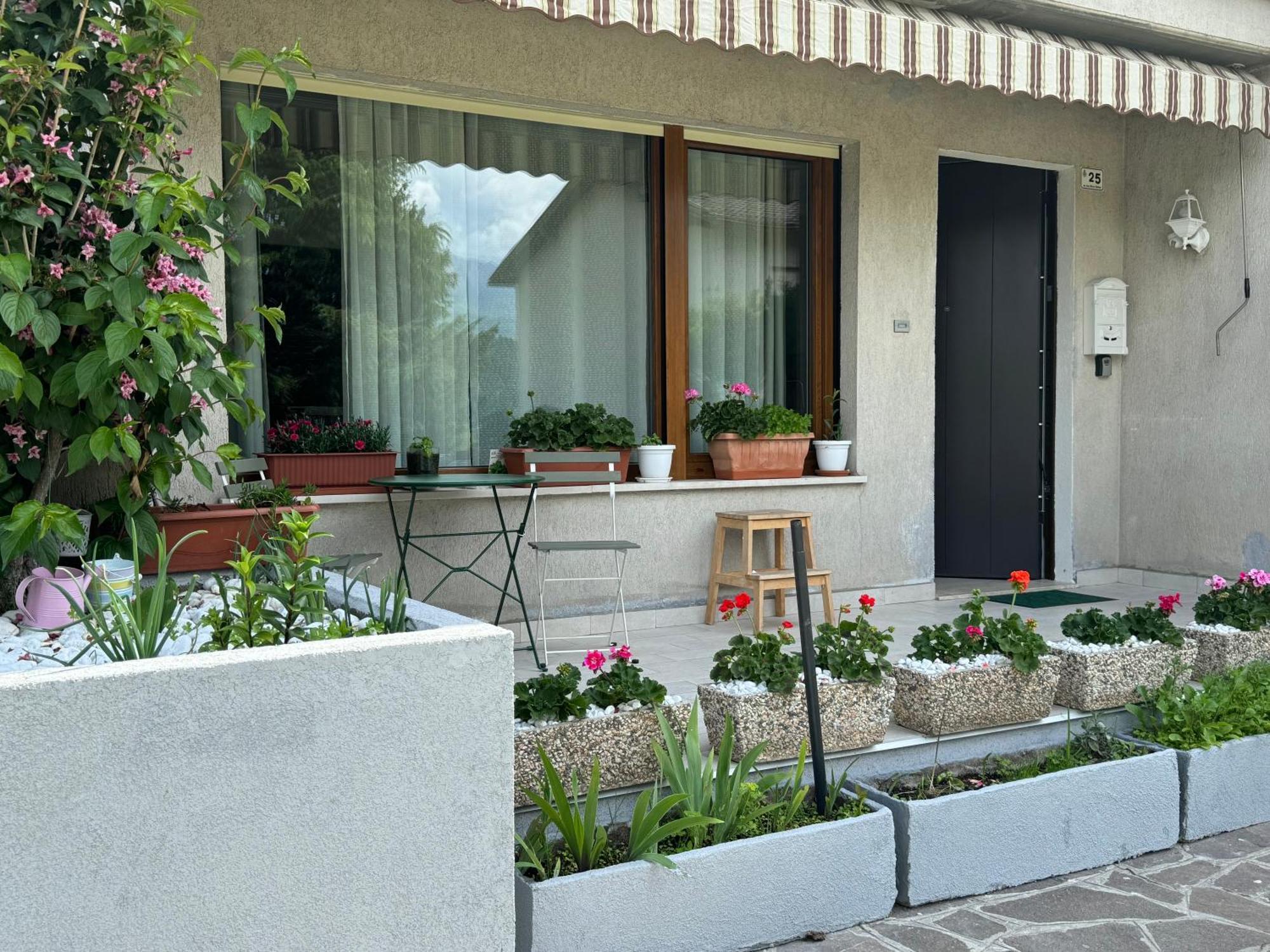 Green House Next - Lovely Apartment For Family And Free Parking Levico Terme Eksteriør bilde