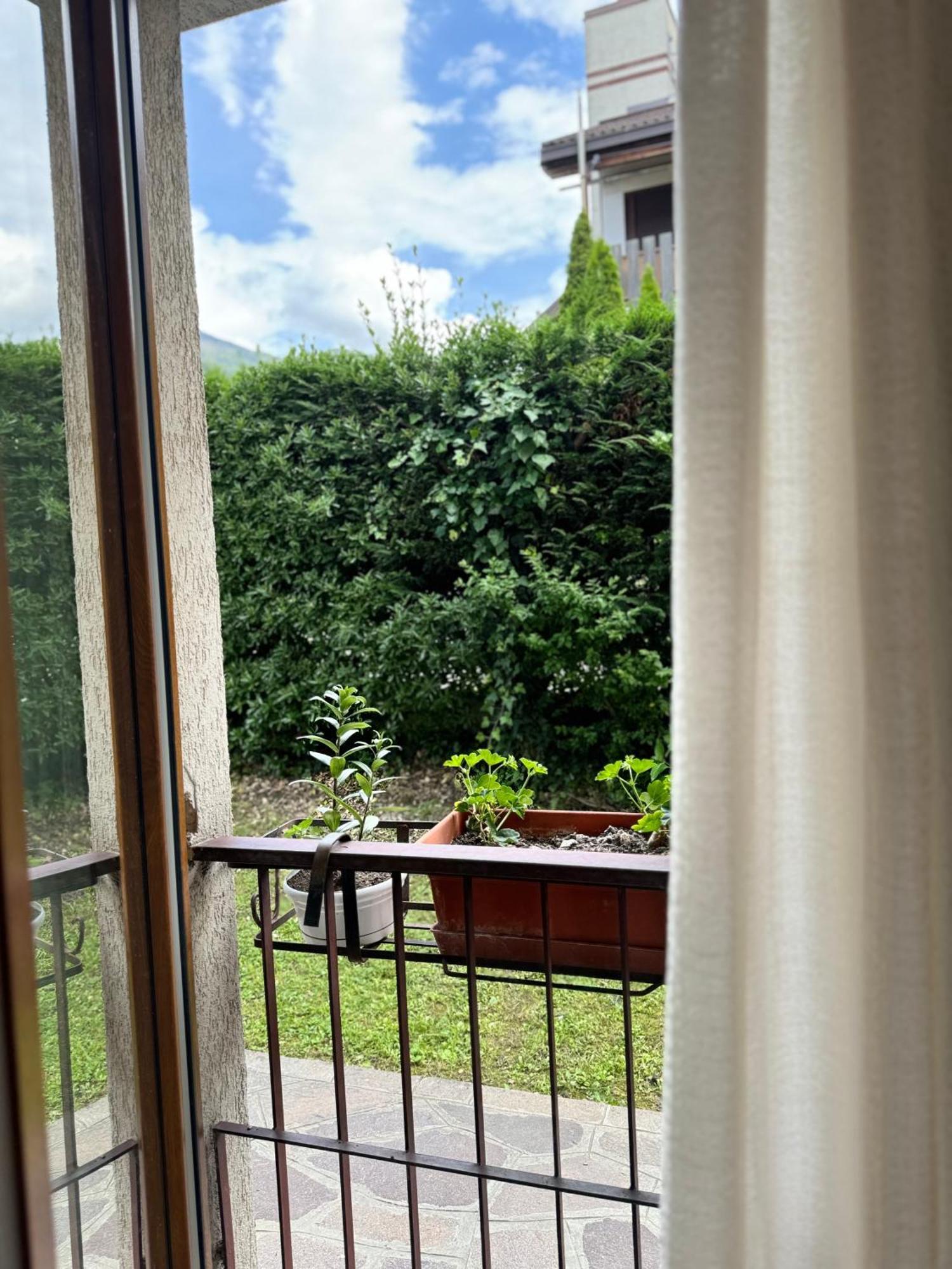 Green House Next - Lovely Apartment For Family And Free Parking Levico Terme Eksteriør bilde